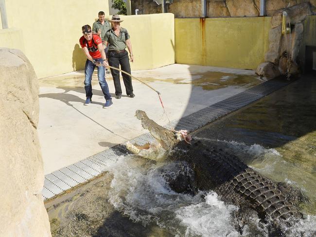 CHOPPERS - Feeding Hungry Crocodile Game 