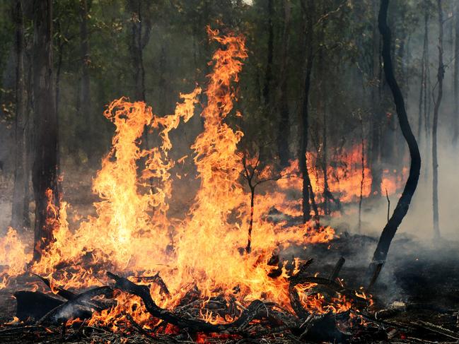 Council endorses bushfire strategy ahead of new planning scheme