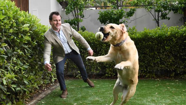 James Stevens with Frankie, his 4yo golden labrador. Picture: Tricia Watkinson