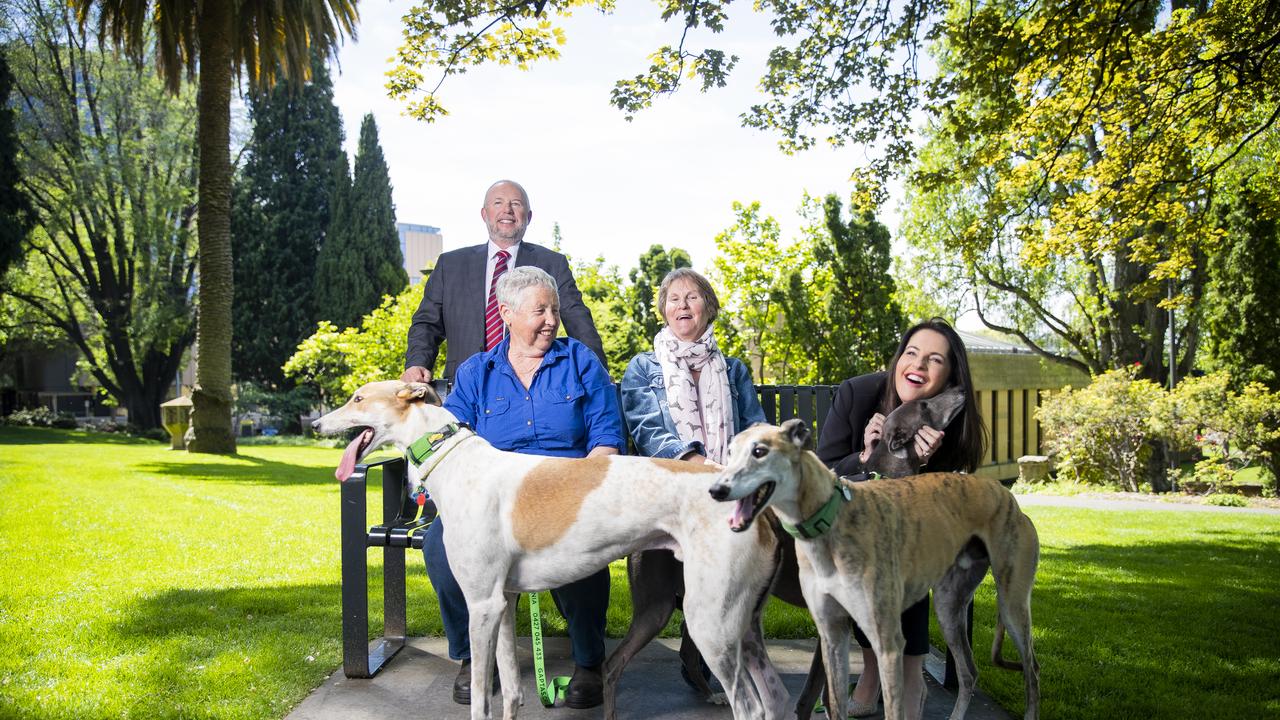 Government introduces free greyhound de-sexing for adopted dogs. Tas Racing CEO, Paul Eriksson, adopted greyhound owners Sharyn Marshall and Carol Timbrell and Minister Jane Howlett. Picture: RICHARD JUPE