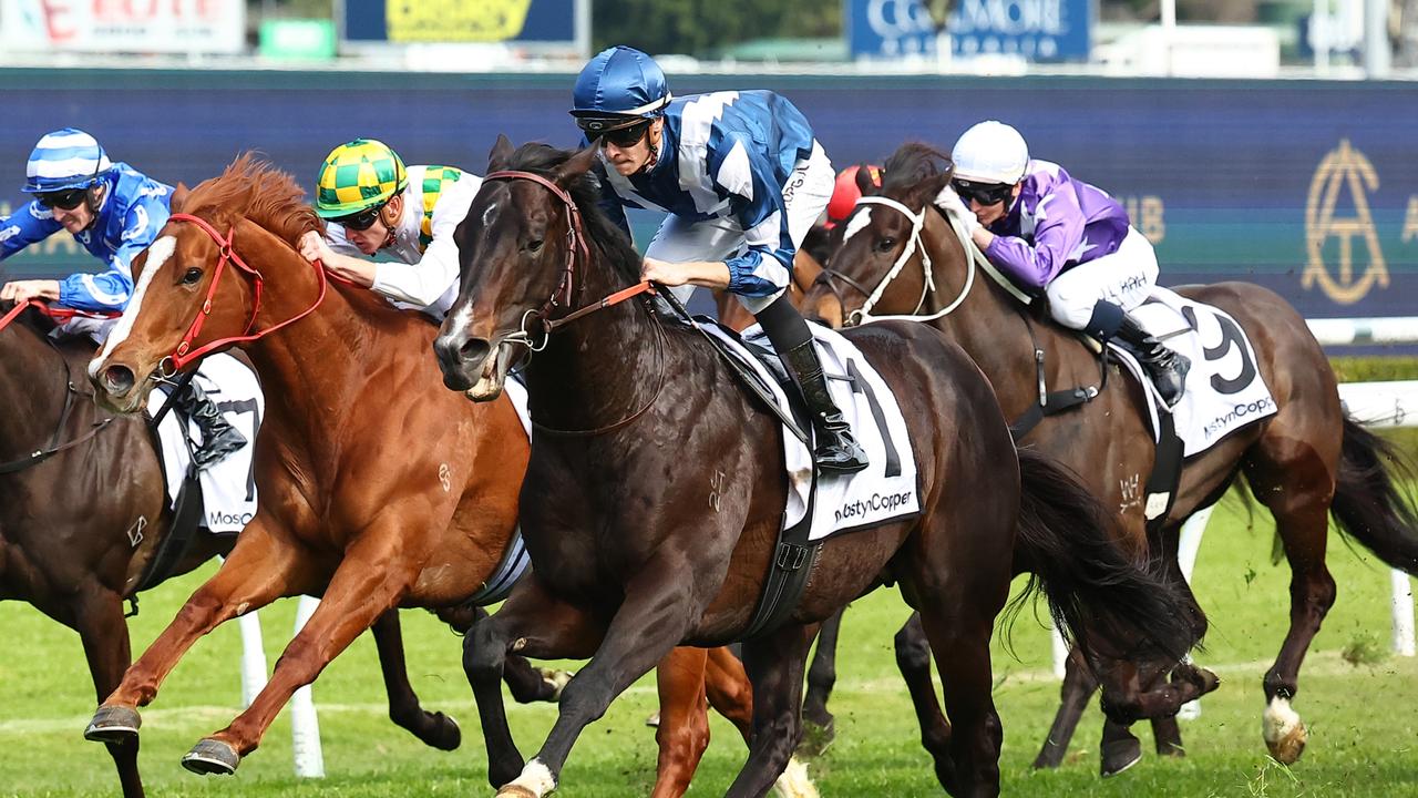 The Everest 2023: Ray Thomas and Ron Dufficy analyse every horse, best ...