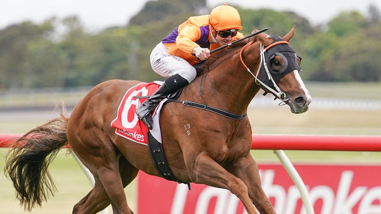 The $900,000 buy Oughton carried Spendthrift Farm's orange and purple colours to victory at Sandown earlier this month. Picture : Racing Photos via Getty Images.