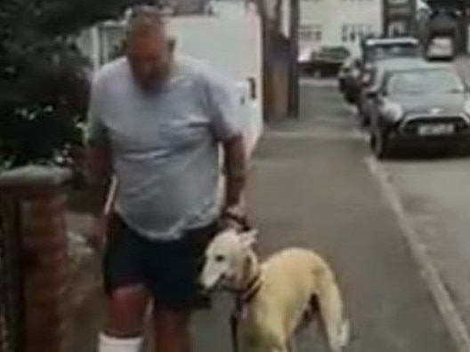 Video of limping dog isn’t what it seems