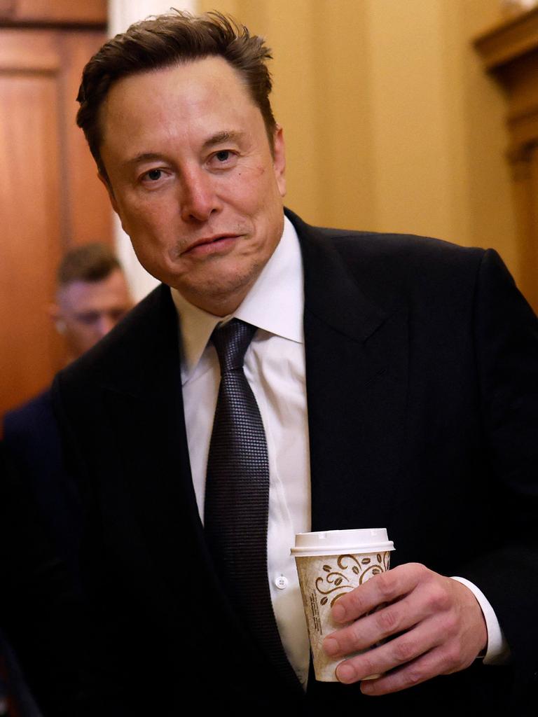 Elon Musk, Co-Chair of the newly announced Department of Government Efficiency. Picture: Anna Moneymaker/Getty Images/AFP