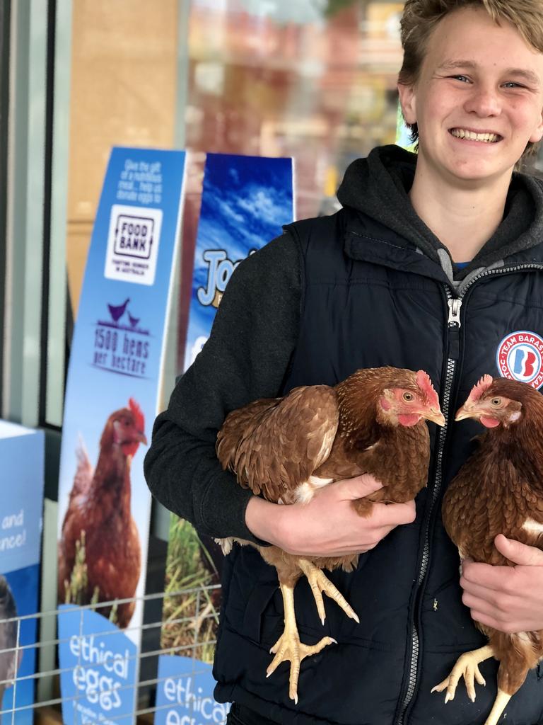 Josh was nine years old when he started tending the chickens on his family farm.