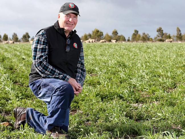 Focus: Gordon Brown is the manager of Shelburn, a 1215ha sheep and cropping property using new technology to improve productivity.Picture: ANDY ROGERS