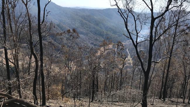 Total valley devastation at Sarabah on Monday, September 9, 2019 in the destructive southeast Queensland bushfires. Picture: Kirstin Payne