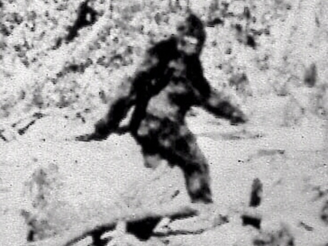 Some enthusiasts say the creature in the so-called Patterson-Gimlin film, allegedly a female Bigfoot, can finally be dismissed as a man in a monkey suit. Picture: AP