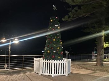 The Bayside Council Christmas tree for 2024 has failed to live up to expectations. Picture: Facebook