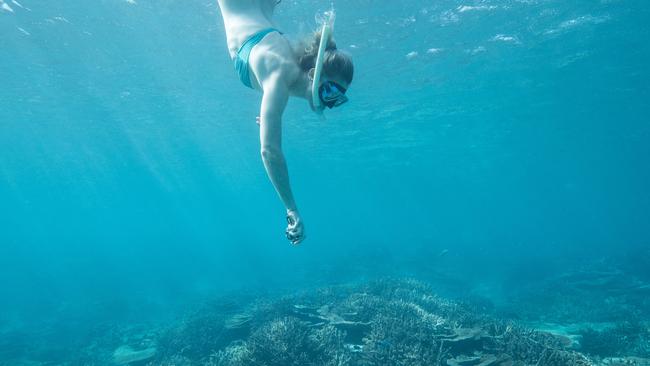 LADY ELLIOT ISLAND, AUSTRALIA - APRIL 12: Annette Edmondson of Australia swims to view coral during an athlete Great Barrier Reef experience on day eight of the Gold Coast 2018 Commonwealth Games at the Great Barrier Reef on April 12, 2018 on Lady Elliot Island, Australia. (Photo by Mark Kolbe/Getty Images for Tourism Queensland)