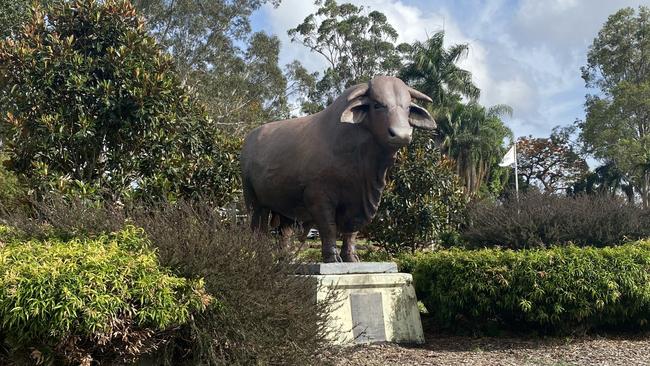 The Big Santa Gertrudis at Frank Forde Park.