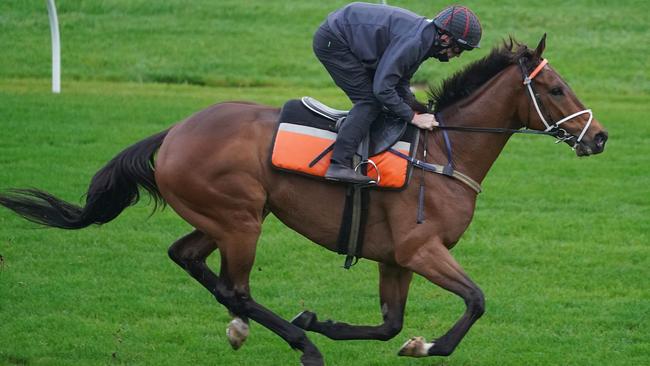 John Allen took Mugatoo for a spin around The Valley on Saturday. Photo: Scott Barbour/Racing Photos via Getty Images