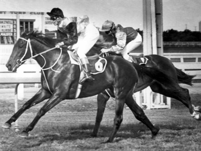 Pam O’Neill was leading the pack for female jockeys in the late 1970s.