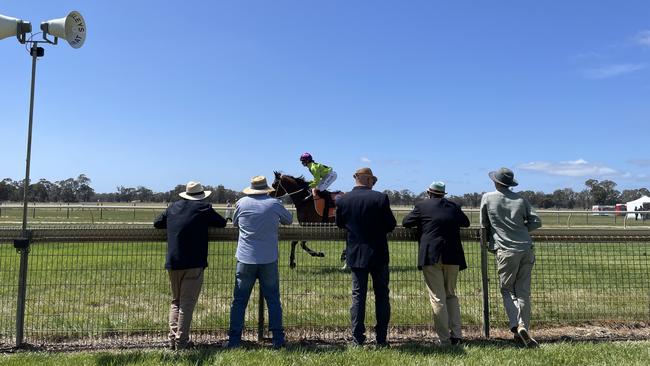 The 2024 Blue Pyrenees Estate Avoca Cup was held on October 19, 2024.