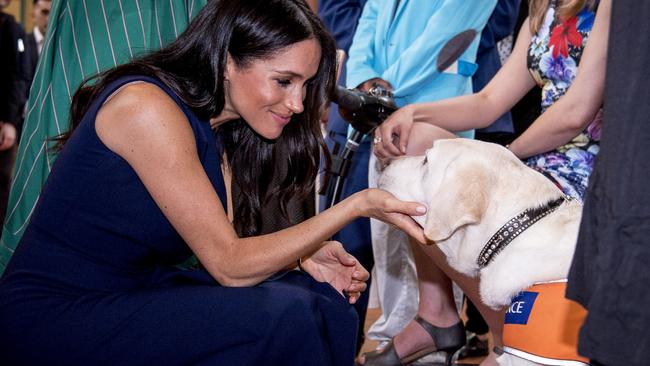 Meghan is a dog-lover, so no wonder she stopped to say hi to this guest at Government House. Photo: Eddie Jim/Pool