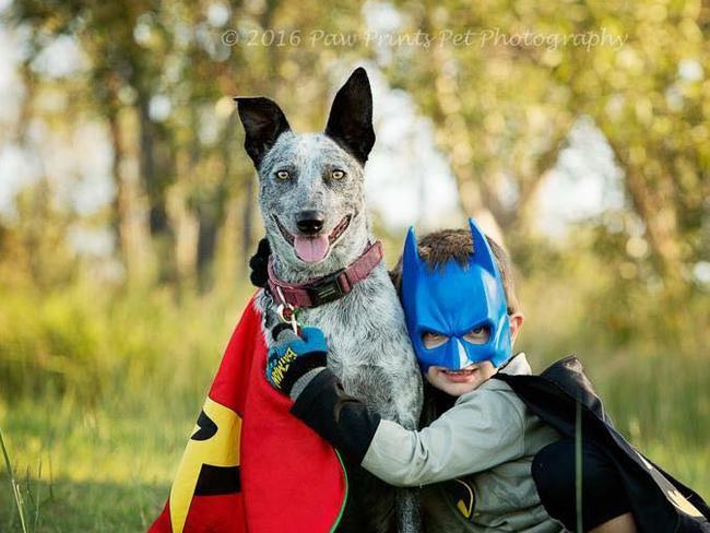 From an unwanted pound pup to a little boys super hero sidekick, these guys are inseparable. Owner and mum Coco Juliet loves them both.