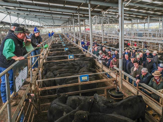 A jam packed crowd at last week's Leongatha store sale, July 2 2021. PICTURE: MADELEINE STUCHBERY.