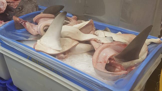 Shark fins on sale at Seafood at Hornsby.