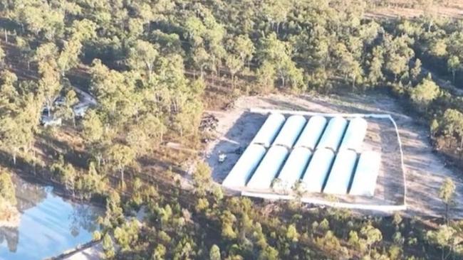 Police will allege surveillance and video footage showed Mr Nguyen working as a 'crop sitter' at the $60m drug farm at Mount Maria near Gladstone.