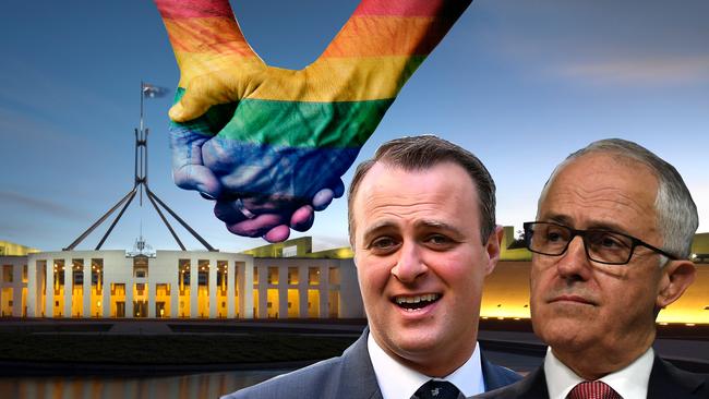 The Coalition will come out a loser whichever way the same-sex marriage debate goes.