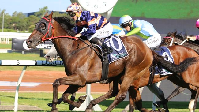 Brutality has been well-supported at Rosehill on Saturday. Picture: Grant Guy