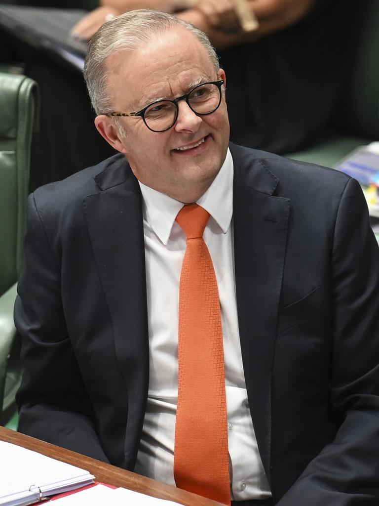 Prime Minister Anthony Albanese during Question Time on Wednesday. Picture: NCA NewsWire / Martin Ollman