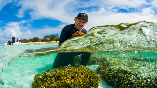 Peter Harrison at Heron Island on November 2017.