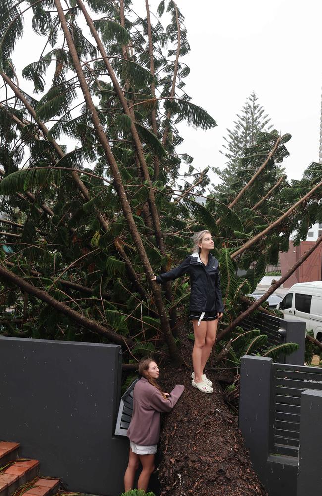 Gold Coast battered by Cyclone Alfred, as it made land. Broadbeach locals Jade Keeley (blonde) and Bronwyn David came out of their apartment on Old Burleigh Rd to find A giant Norfolk Pine had fallen in their front yard. Picture Glenn Hampson