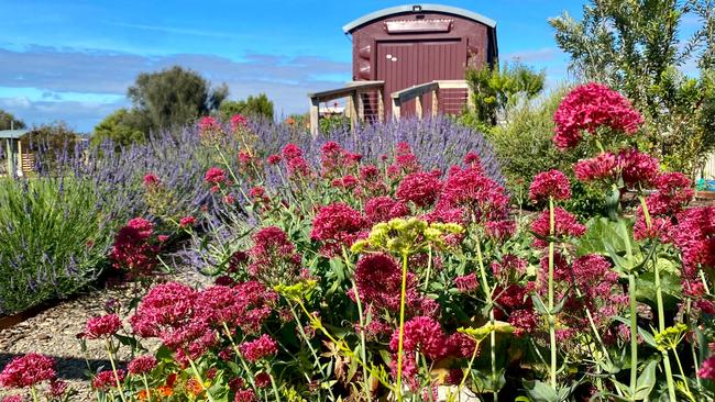 Garden designer Elizabeth Ganguly's garden was once a bare, flat paddock.