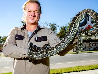 10 suburbs you’re most likely to encounter a snake