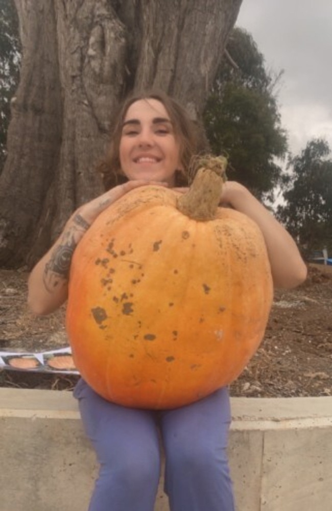 Hopes squashed: Rain Barker is trying to track down the thief who stole her prize pumpkin. Picture: Supplied