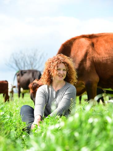 How Now milk is sold in one-litre and two-litre bottles. The Locheilan range includes camembert, brie, two blue cheese varieties and an English cheddar-style called Cheshire. Picture: Zoe Phillips