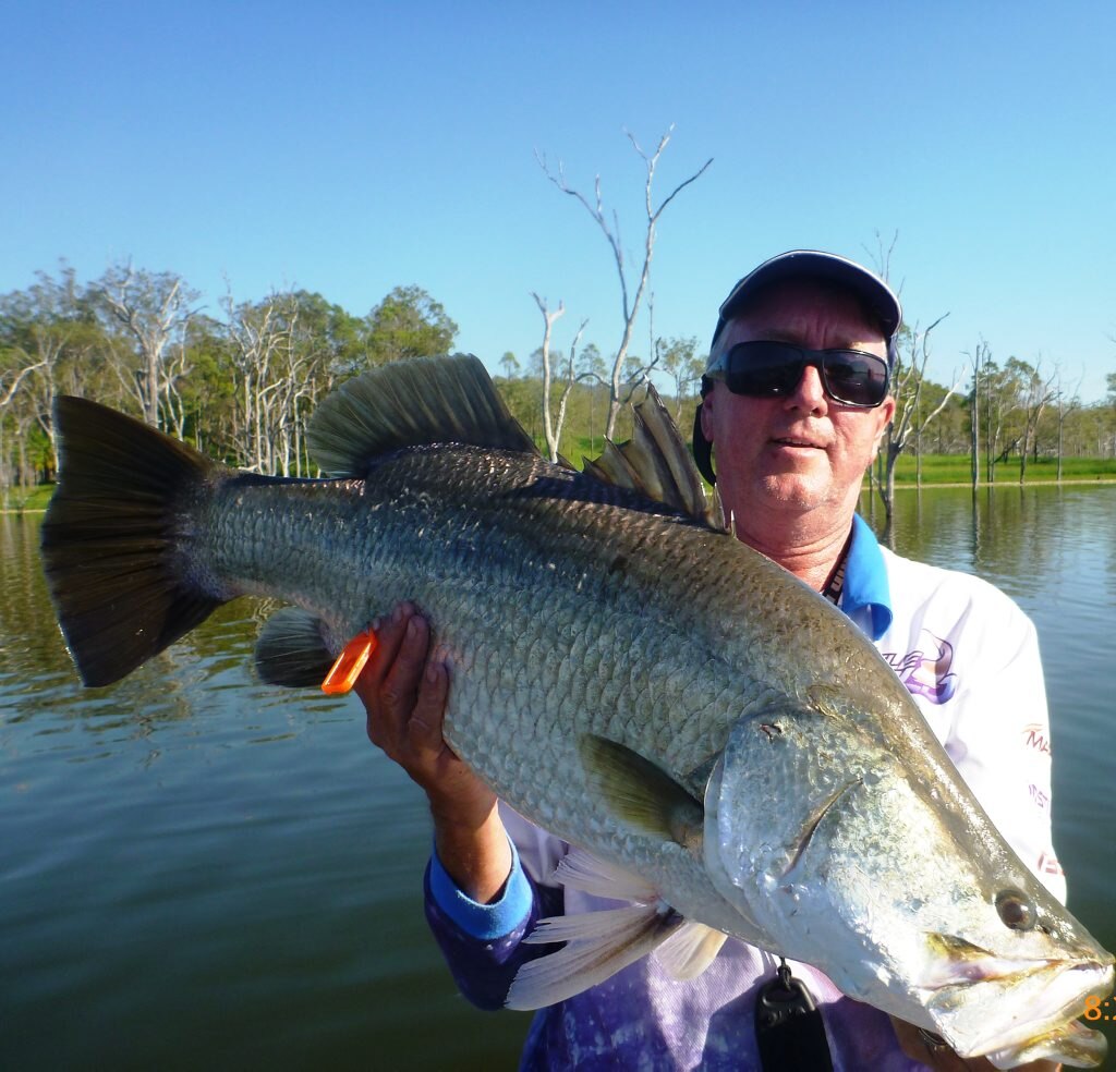 What a catch! Fish Blitz in and around Mackay | The Courier Mail