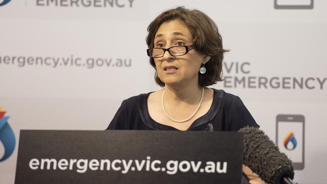 Energy Minister Lily D'Ambrosio addresses the media after the blackouts. Picture: AAP