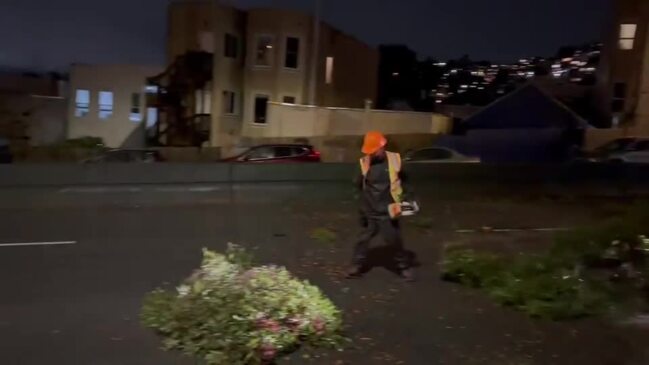 Bay Area Storm Leaves at Least Two Dead