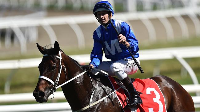 High Bowman Cox Plate favourite Winx.