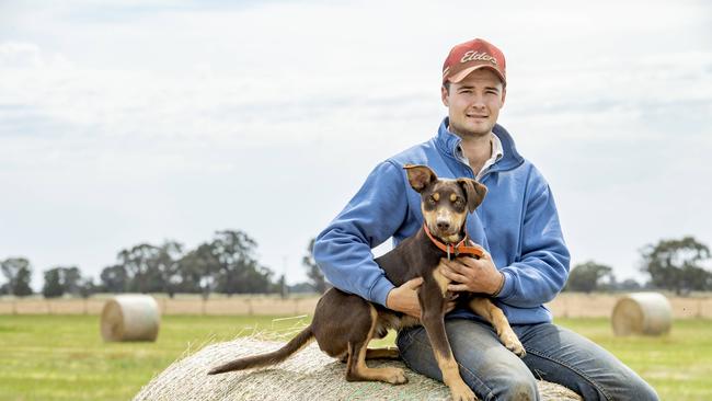 Angus White and his Kelpie pup named Bert on a hay bale. Picture: Zoe Phillips