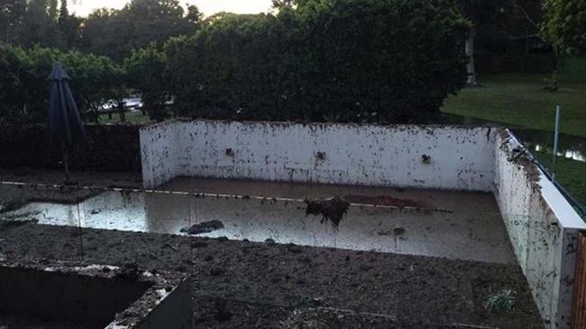 Cameron Russell’s backyard and pool after the flooding.