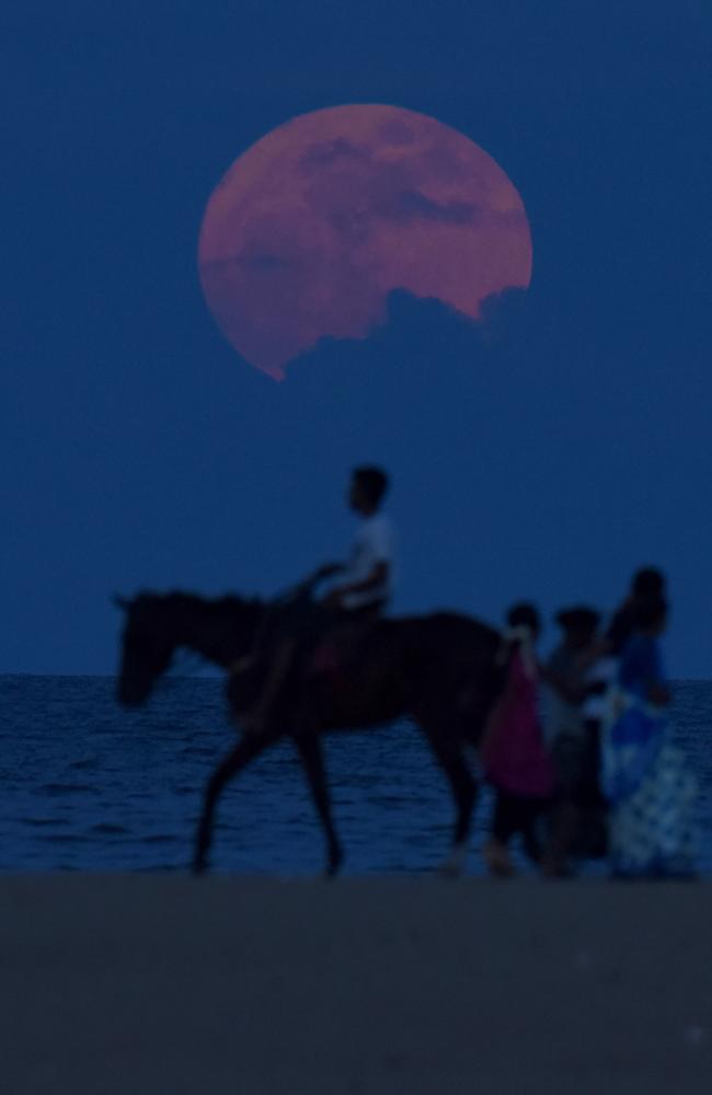 An Indian man rides a horse past people watching the ‘supermoon’ rise at Marina Beach in Chennai on November 14,2016. Picture: AFP PHOTO / ARUN SANKAR