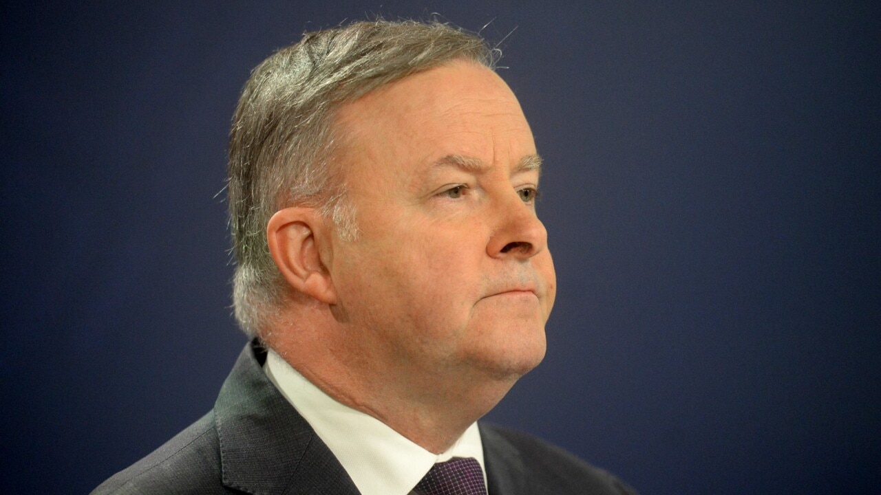 ‘It is a lie’: Albanese trying to take ‘lowest road to the highest office’