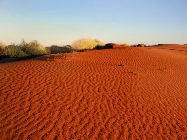 A sand dune at sunrise in the Simpson Desert, outback Australia.