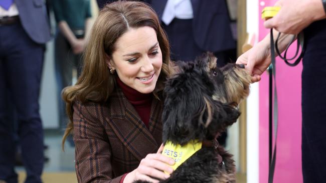 Catherine, Princess of Wales, meets Scout the therapy dog during a visit to The Royal Marsden Hospital. Picture: Chris Jackson/Getty