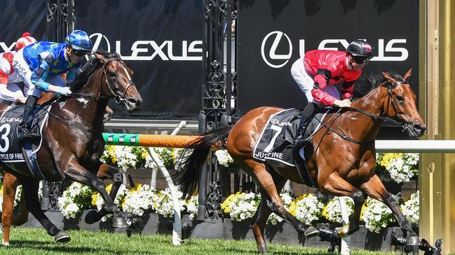 Just Fine led the field on the first lap in the Melbourne Cup, but finished last. Picture: Getty