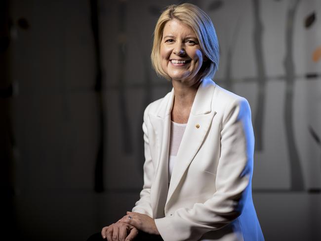 Natasha Stott Despoja. Picture: NCA NewsWire / Gary Ramage