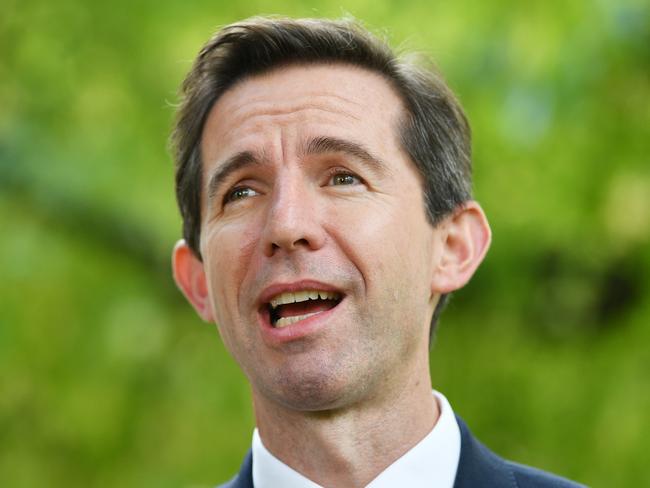 Federal Education Minister Simon Birmingham said Labor’s policy would cost an extra $1 billion. Picture: AAP Image/David Mariuz