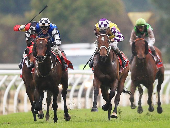 Slow Pace and Robert Thompson take out the Wyong Cup. Picture: Mark Evans