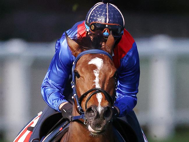 MELBOURNE. 18/10/2021. Moonee Valley Breakfast with the Best track gallops.  Zaaki ridden by Raphael Marchelli has a hit out at during the Breakfast with the Best track work session at Moonee Valley racecourse. Photo by Michael Klein