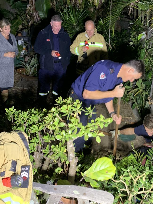 NSW Fire and Rescue firefighters from the Narrabeen brigade work hard to rescue Misty.