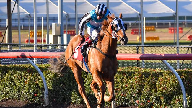 The Gary Clarke trained Wolfburn won the Bridge Toyota Cup with jockey Jarrod Todd on Ladies Day. Picture: Caroline Camilleri