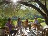 Dine and cycle in the Clare Valley